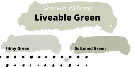 Liveable Green Paint by Sherwin Williams Review - The DIY Nuts | Green ...