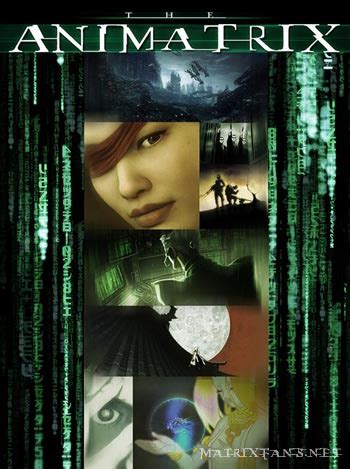 About the Animatrix - Matrix Fans