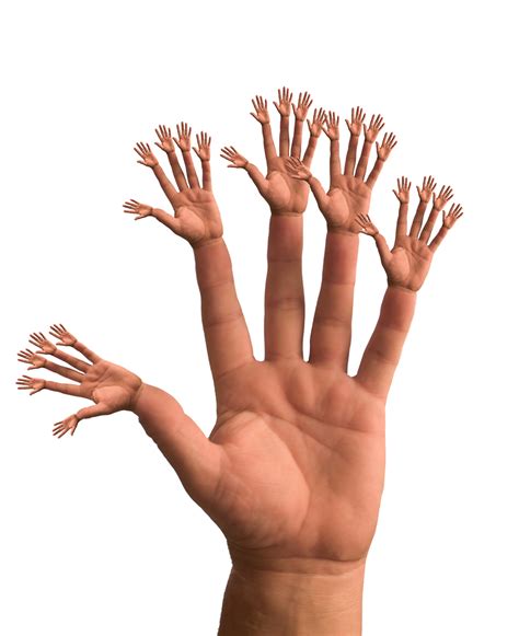 Free Extra Hand Cliparts, Download Free Extra Hand Cliparts png images ...