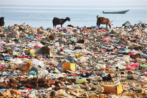 Plastic pollution: A threat to Ecosystem Health - One Health and ...