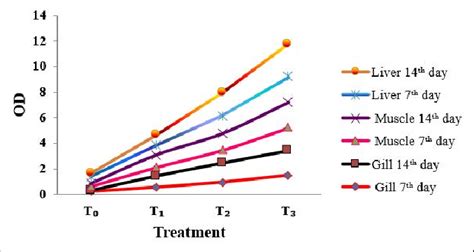 DPPH Assay (2, 2-Diphenyl-1-Picrylhydrazyl) on gill, muscle and liver ...