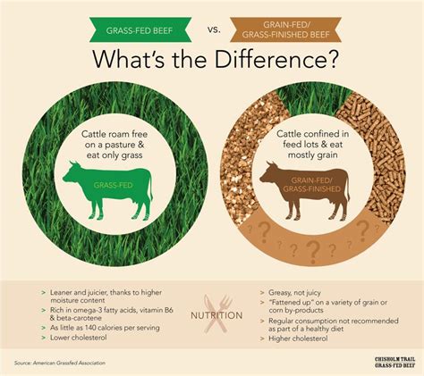 Infographic -Grass Fed vs. Grain Fed Cows