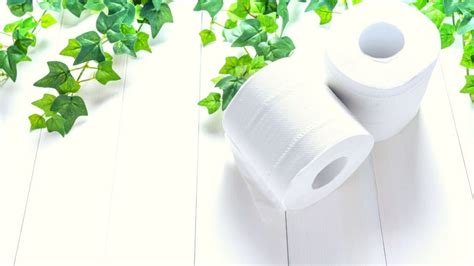 Choosing Eco-Friendly and Sustainable Toilet Paper | just luve