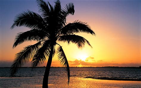 Orange sunset on the tropic beach background - Beach Wallpapers