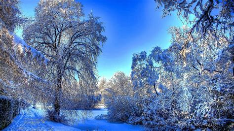 Beautiful Snow Wallpapers - Top Free Beautiful Snow Backgrounds ...