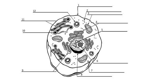 Converting Diagrams from Print to Digital Format