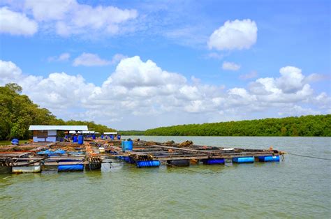 Barramundi Fish farm cage | Please feel free to visit and do… | Flickr