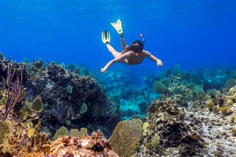 The Best Turks and Caicos Snorkeling | Visit Turks and Caicos Islands