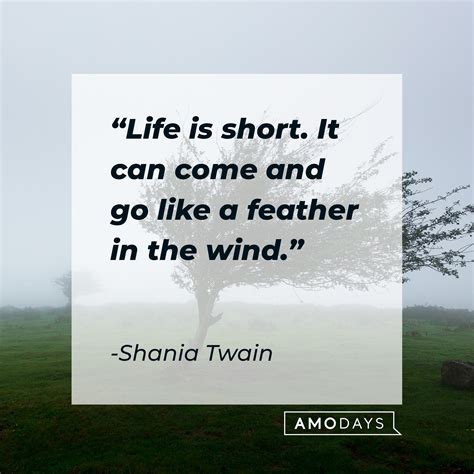 72 Quotes about the Wind to Help You Decide Which Way to Blow