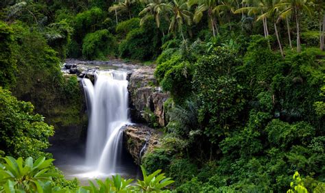 Book your Kintamani Volcano Tour in Ubud - A trip with many highlights