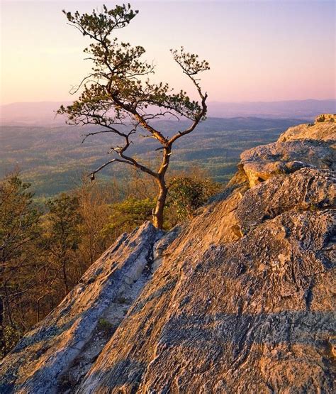 17 Best images about Cheaha Mountain, AL on Pinterest | The park, Lakes ...