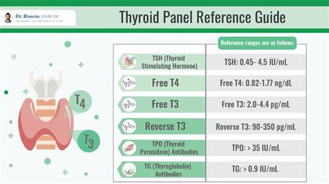 What Are Optimal Thyroid Levels & How To Achieve Them?