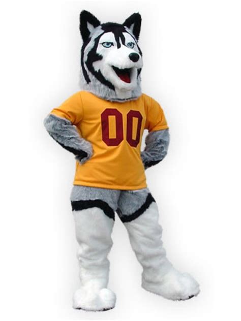 Bloomsburg University Mascot Costume