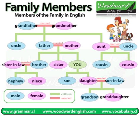 Members of the Family | Woodward English