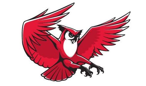 Keene State College's mascot looks like a pretty solid Flying type ...