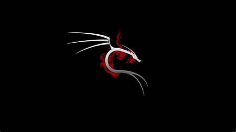 2560x1440 Kali Linux 4k 1440P Resolution ,HD 4k Wallpapers,Images ...