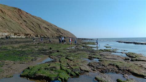 Filey Brigg - Great for Rockpooling with the Kids ⋆ Yorkshire Wonders