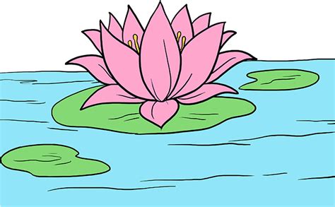 Find hd free Lilypad Drawing Realistic - Water Lily Drawing Easy ...