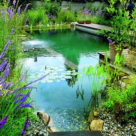 Brilliant Natural Swimming Pools