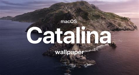 Aggregate more than 84 mac os catalina wallpaper latest - 3tdesign.edu.vn