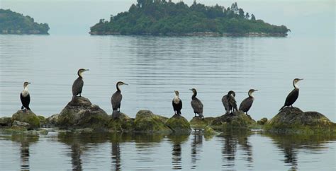 Visit Lake Kivu in Rwanda - Journeys by Design