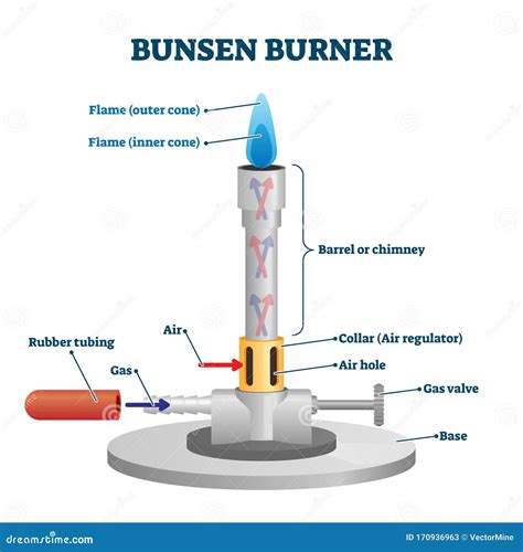 Parts Of A Bunsen Burner Labeled | Images and Photos finder