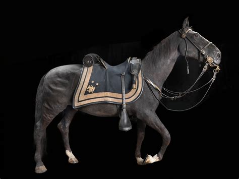 General Sheridan's Horse "Winchester" AKA "Rienzi" | Smithsonian ...