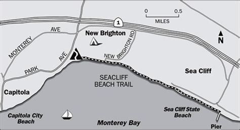 New Brighton California State Parks on the Beach - Guide to New ...