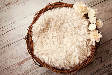 Digital Backdrop, newborn nest - a digital prop with white flowers by ...