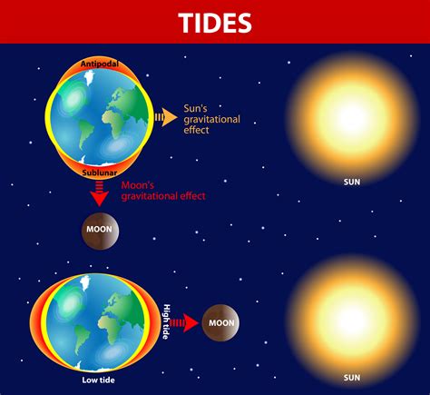 Phases Of The Tide