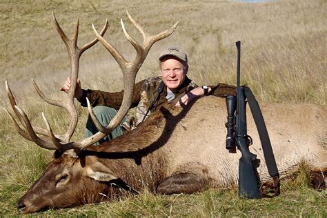 Top 5 Rifle Cartridges for Elk - Petersen's Hunting