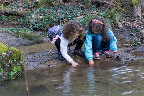 Playing in the Creek – WNCOutdoors.info