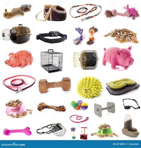 Pet accessories stock image. Image of accessory, background - 62148651