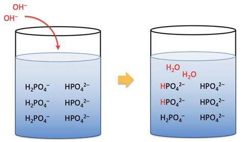 What is a Buffer Solution? | Chemistry | ChemTalk