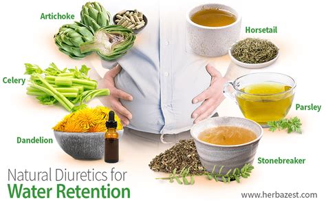 Natural Diuretics for Water Retention | HerbaZest