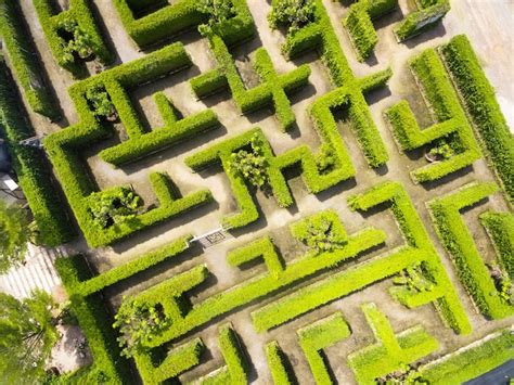 Hedge Maze | Free Vectors, Stock Photos & PSD