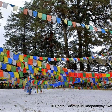 Dochula Pass - Bhutan in 2023 | Travel fun, Trip, Places to see