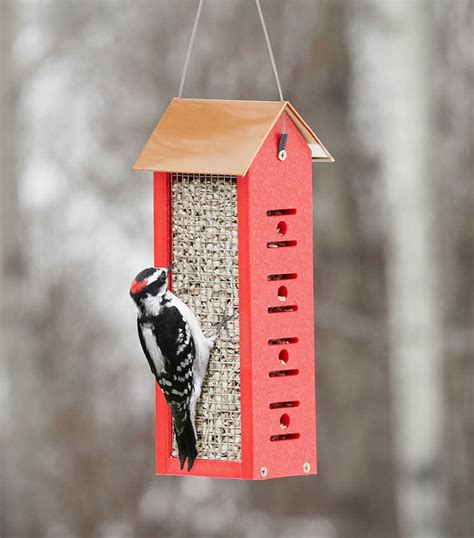 Pin by David Coleman on Birds | Woodpecker feeder, Bird feeder plans ...