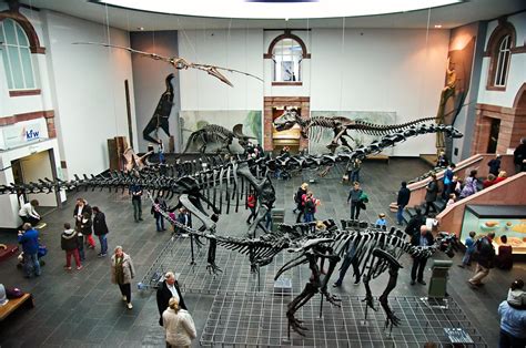 Senckenberg Naturmuseum Frankfurt | Das Senckenberg Naturmus… | Flickr