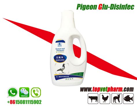 pigeon disinfectant spray for loft droppings equipment