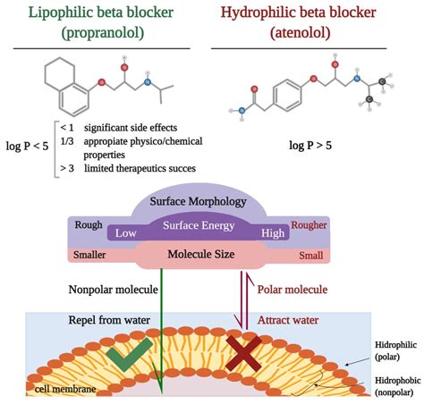 Medicina | Free Full-Text | Neuropsychiatric Consequences of Lipophilic ...