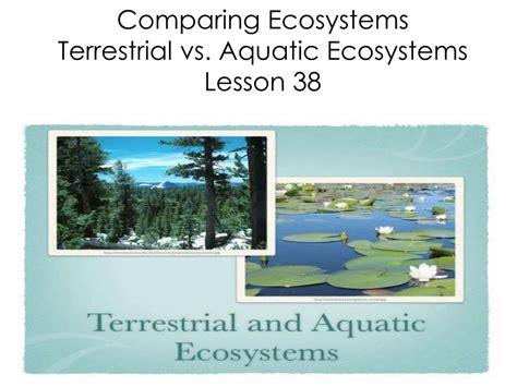 PPT - Comparing Ecosystems Terrestrial vs. Aquatic Ecosystems Lesson 38 ...