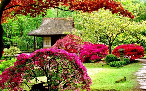 Garden Wallpaper Hd