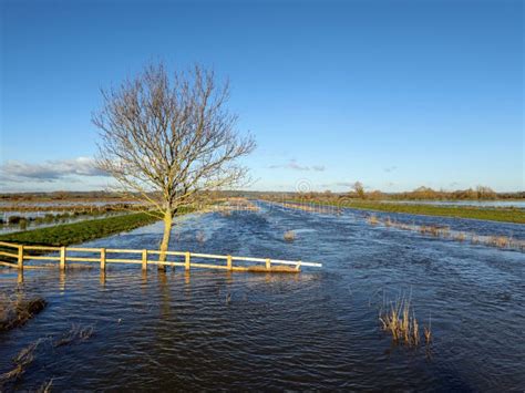 Somerset Levels Flood stock image. Image of river, lake - 303202139