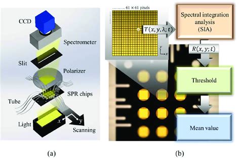 (a) The spectral SPR scanning system for capturing multiple SPR ...