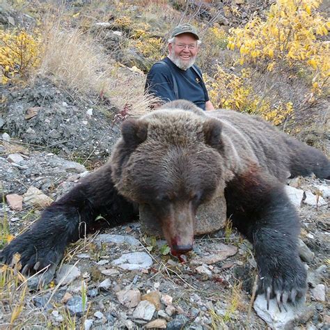 Grizzly Bear Hunting in Alaska – Midnight Sun Safaris