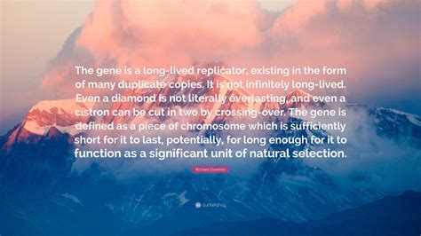 Richard Dawkins Quote: “The gene is a long-lived replicator, existing ...