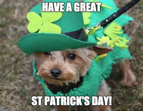 17 St. Patrick’s Day Memes That Are Even Funnier When Drunk