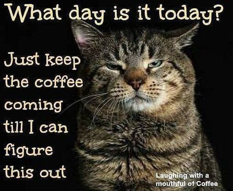 Thursday !! - #cat #catandcoffee #catncoffee #kittyandcoffee # ...