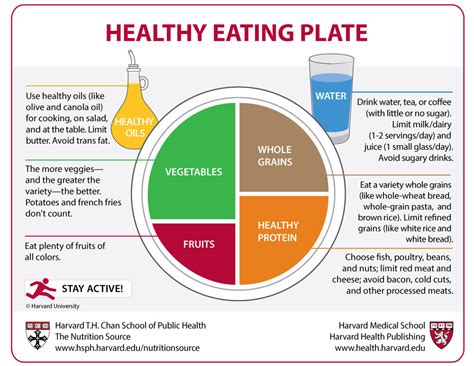 Harvard launches "Healthy Eating Plate" in response to USDA's MyPlate ...